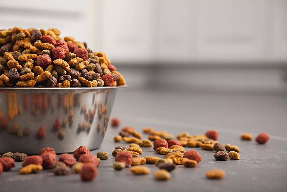 How to choose the best pet food for your pet