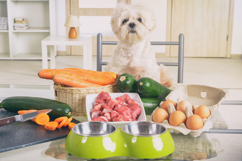 Choosing the Best Pets Food: Tips for Finding the Ideal Diet