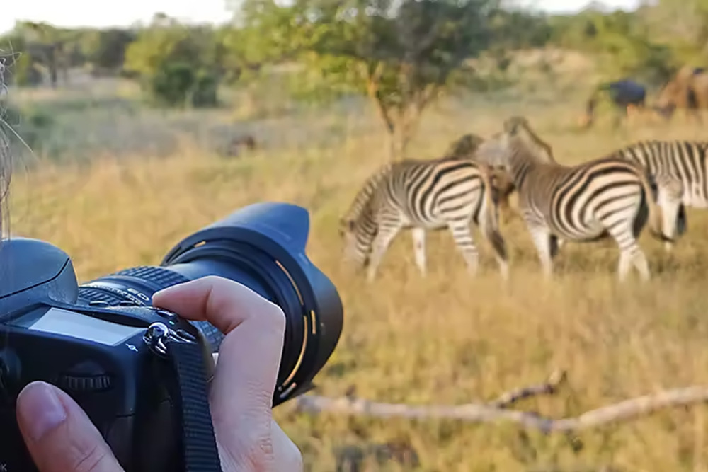 The Risks and Rewards of Wildlife Photography