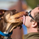 7 Fun-Filled Outdoor Activities for You and Your Pet